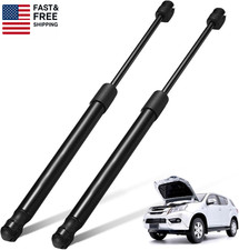 Rear Hatch Tailgate Lift Supports Struts Compatible with Scion Tc 2005-2010 Rust