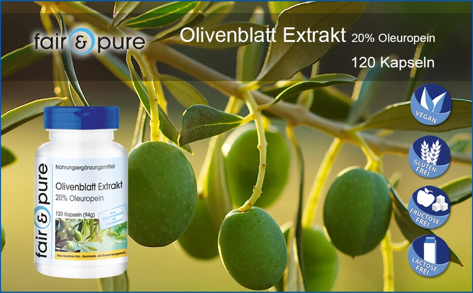 Olivenblatt Extrakt 500 mg - 120 Kapseln- 20% Oleuropein - vegan | fair & pure - Bild 4 von 4
