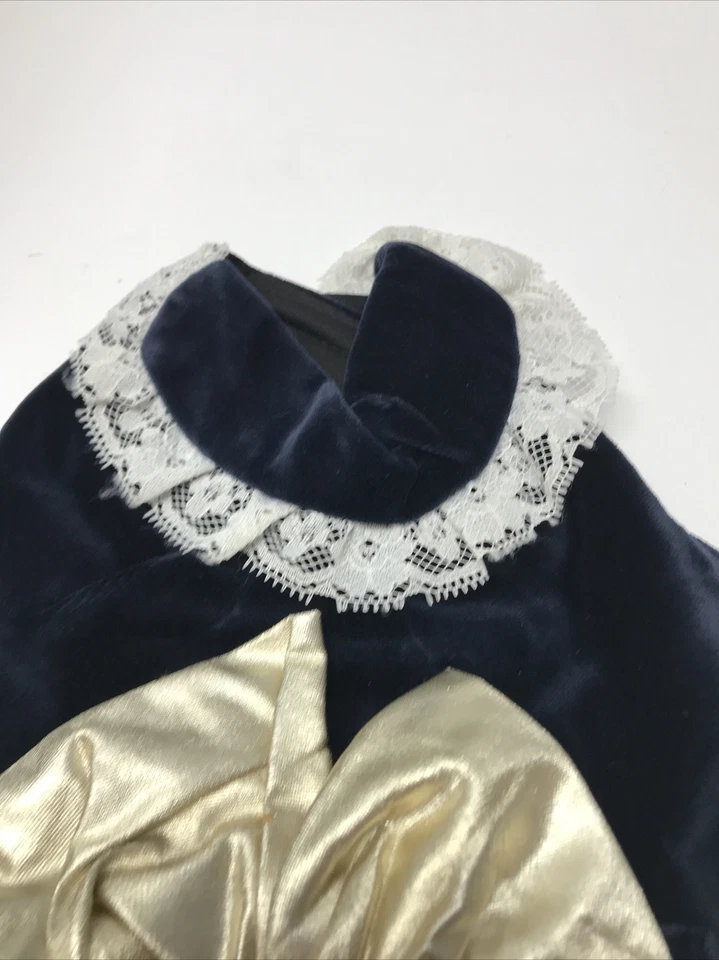 Disfraz de Pana Azul para Perro Ropa para Perros Ropa de Exterior Fiesta del Té Encaje Arco Dorado KG Foto 2 de 4