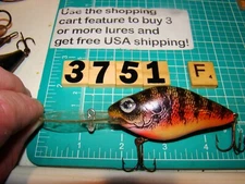 V3751 F NATURAL IKE  FISHING LURE