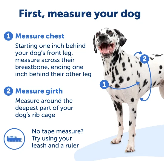 Easy Walk No-Pull Leash Training Dog Harness, Large, Black/Charcoal - PetSafe - Image 3 of 4