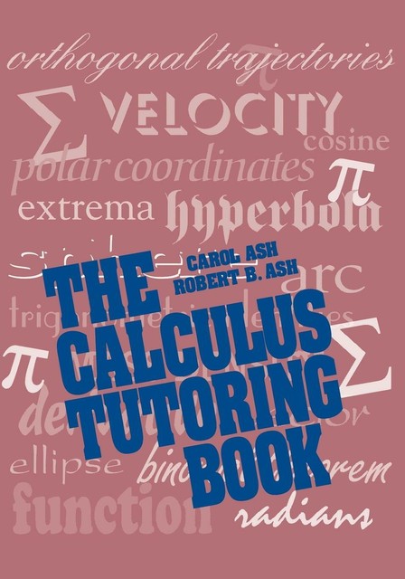 Calculus Tutoring Book von Ash (1993, Taschenbuch) online kaufen | eBay.de