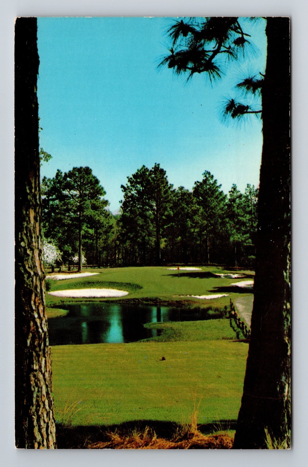 Vintage North Carolina Pine Needles Country Club Postcard Southern Pines NC