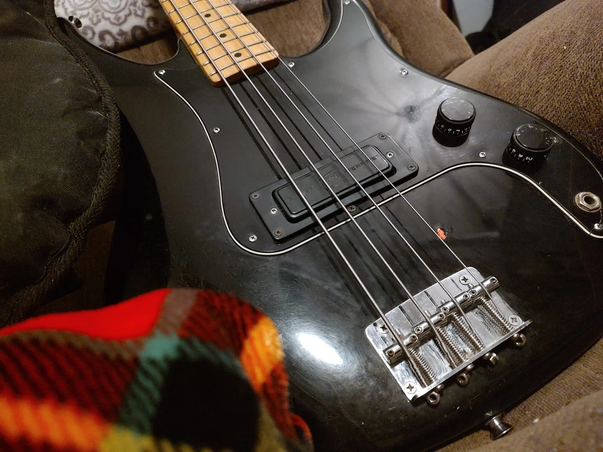 Peavey patriot cheap for sale