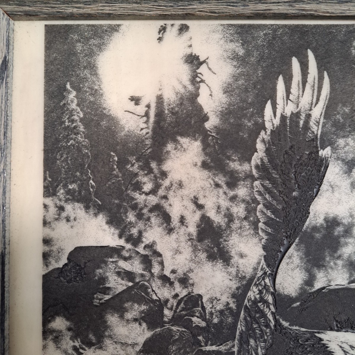 Timberline Bald Eagle By Bill O'Neill 1982 Etched Vintage Marble