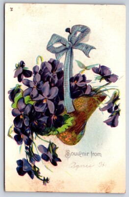 Souvenir From Postcard Embossed Hanging Purple Flowers and Bow DB