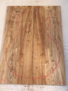 Poplar Burl book match set luthier guitar tone wood .30 x Poplar Burl book match set luthier guitar tone wood .30 x