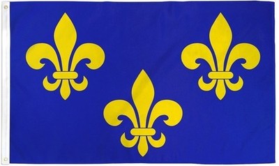 Fleur De Lis Flag 3x5ft Blue Gold Fleur de Lis NOLA French Royalty Mardi Gras