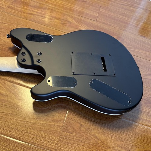 Guitarra Eléctrica Estilo Wolfgang Negro Mate Cuerpo Caoba Floyd Rose Trémolo - Imagen 4 de 10