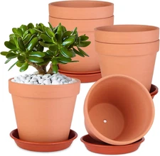 6 Pack 6 Inch Terracotta & Clay Pots with Saucer for Plants, Large Terra Cotta P