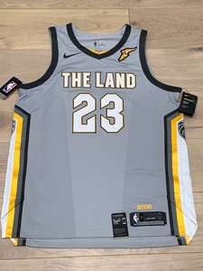 lebron james land of basketball