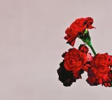 Love in the Future von John Legend, John Legend | CD | Zustand sehr gut
