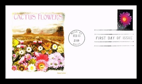 US COVER CACTUS FLOWERS FIRST DAY ISSUE PANDA CACHET