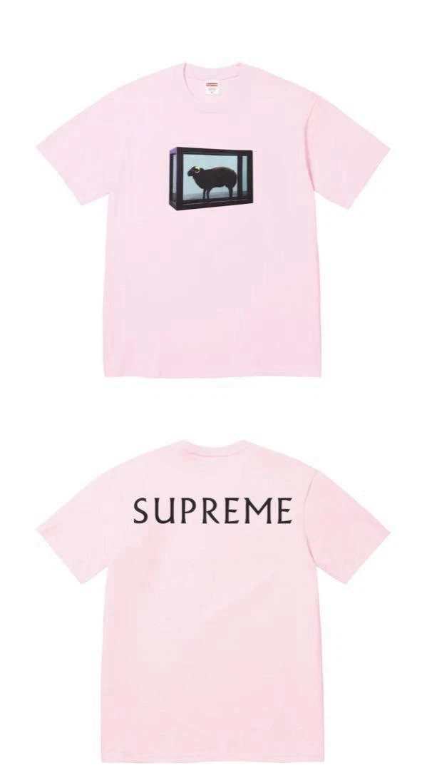 Tee shirt Supreme Damien Hirst RAM SS25 rose   XL   NEUF