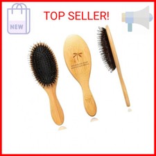 Boar Bristle Hair Brush by Belula - Hair Brushes for Women  Mens Hair Brush, De