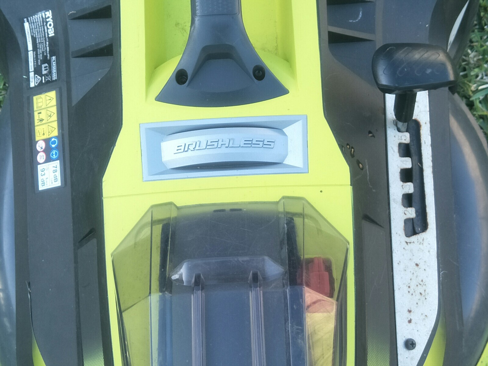 Ryobi 36V Brushless Mower 46cm and 8" Cordless Pole Chainsaw Pruner