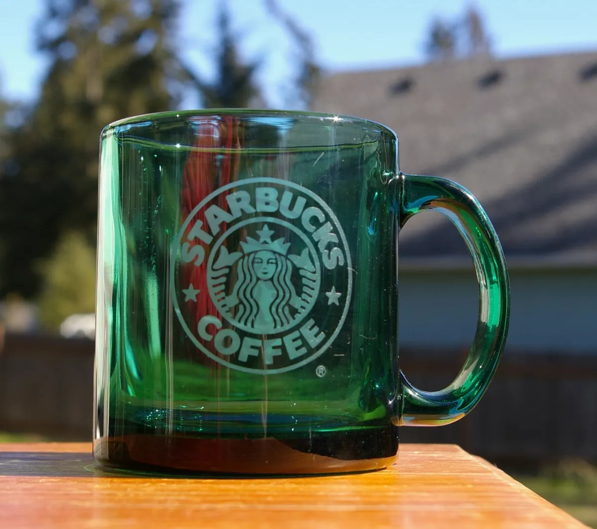 Starbucks Coffee Company Green Etched Glass Mug Made in U.S.A. 3 3/4 Tall