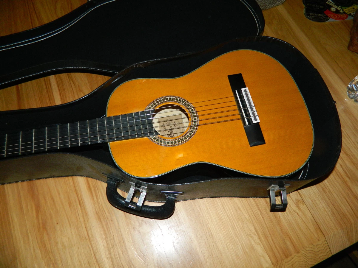 Aria ak 20 guitar outlet