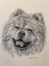 Chow Chow  Vintage Print By Jan Jellins 8 X10