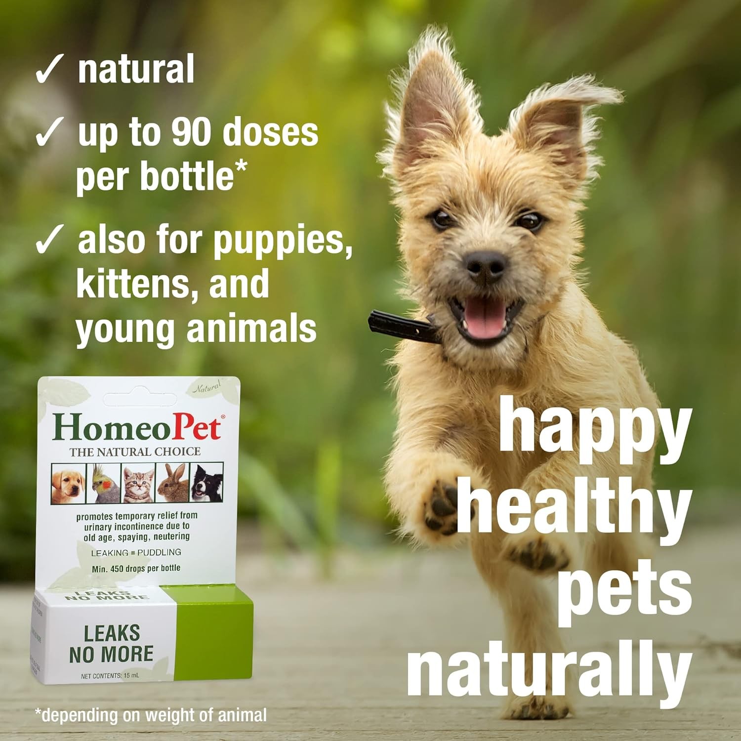 HomeoPet Leaks No More, Safe, Gentle, and Natural Cat Dog Urinary 15ml 