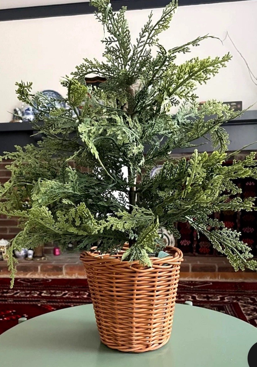 My Texas House Potted 24" Pre-Lit Twinkle LED Cypress Artificial Christmas Tree