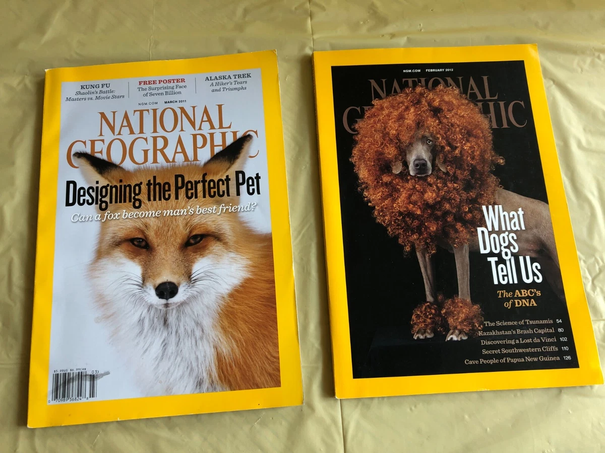 Domesticated Fox National Geographic