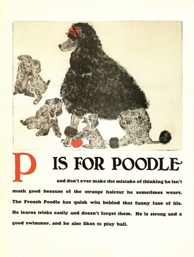 Vintage Poodle Dog Print Letter P Alphabet ABC Print Wall Art 6760p
