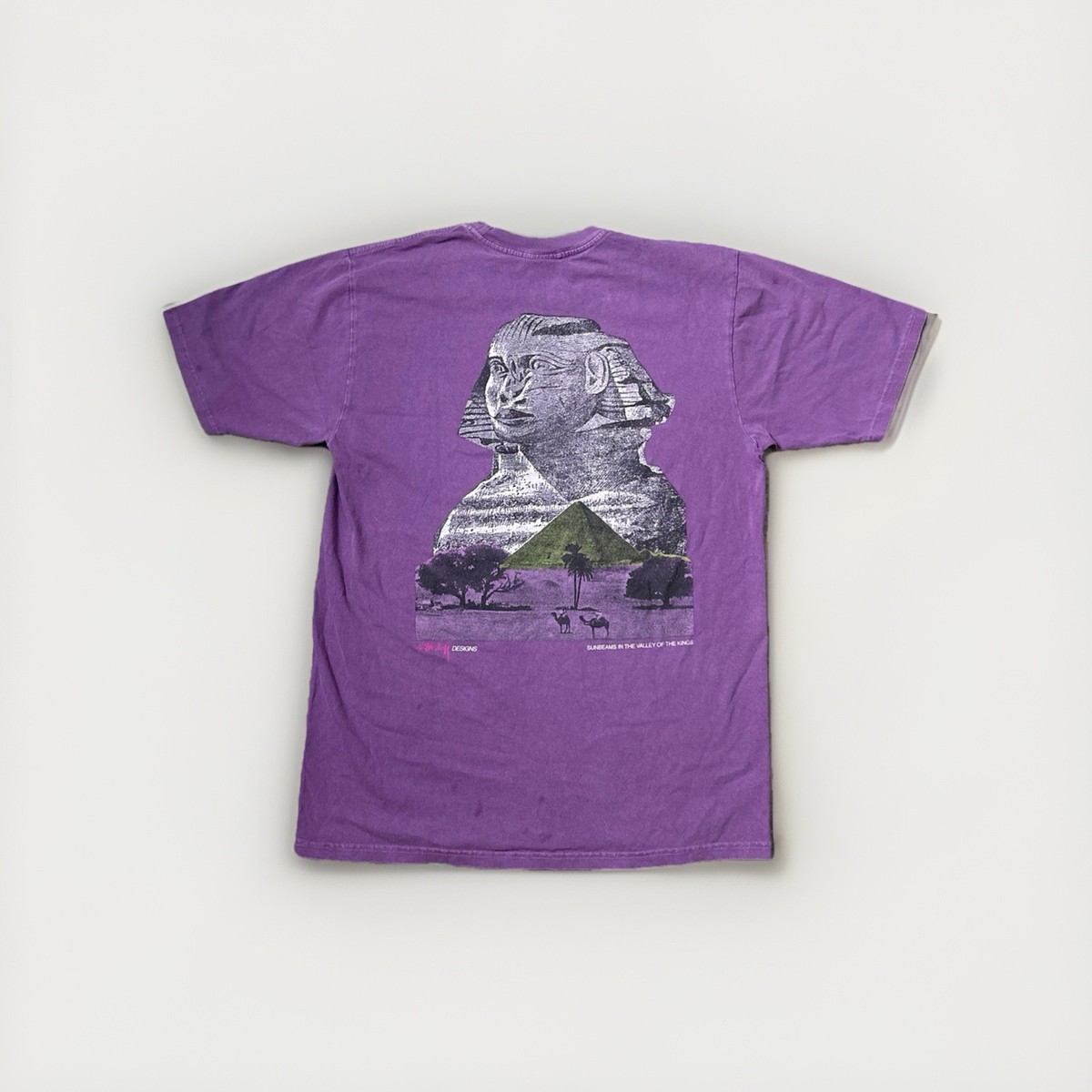 Stussy Sphinx Pig T-Shirt Men