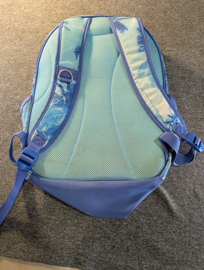 Pottery Barn Teen Backpack Blue Palm Tree Print School Bag – Preowned ...