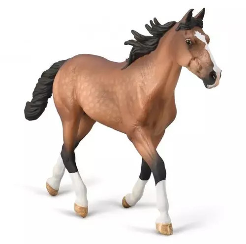 4892900800042 Ogier standardbred maci gniadej Collecta 4590₽