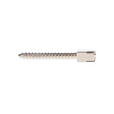 House Brand Dentistry 400051 Screw Posts L2 #2 Long 11.8mm Stainless Steel 12/Pk