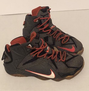 lebron 12 court vision