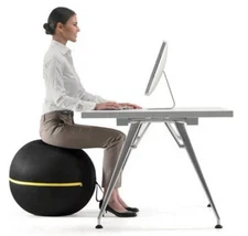 Technogym Active Sitting Wellness Gray Ball w/ Black Cover 55cm (A0001258-BLK)