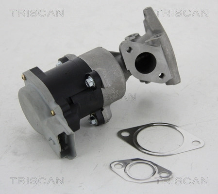 Egr-Ventil Triscan 8813 10008 Land Rover 1316149 CitroËN 1618.N7-image