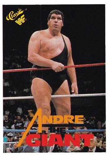 Vintage Andre the Giant WWF Wrestling Legend Headknocker NECA 2002