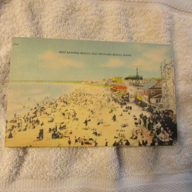 1950 Postcard West Bathing Beach Old Orchard Beach Maine Help the Animals