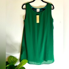 NWT Anthropologie Women's Small Nymphe Fully Lined Sheath dress Fairy Whimsy 