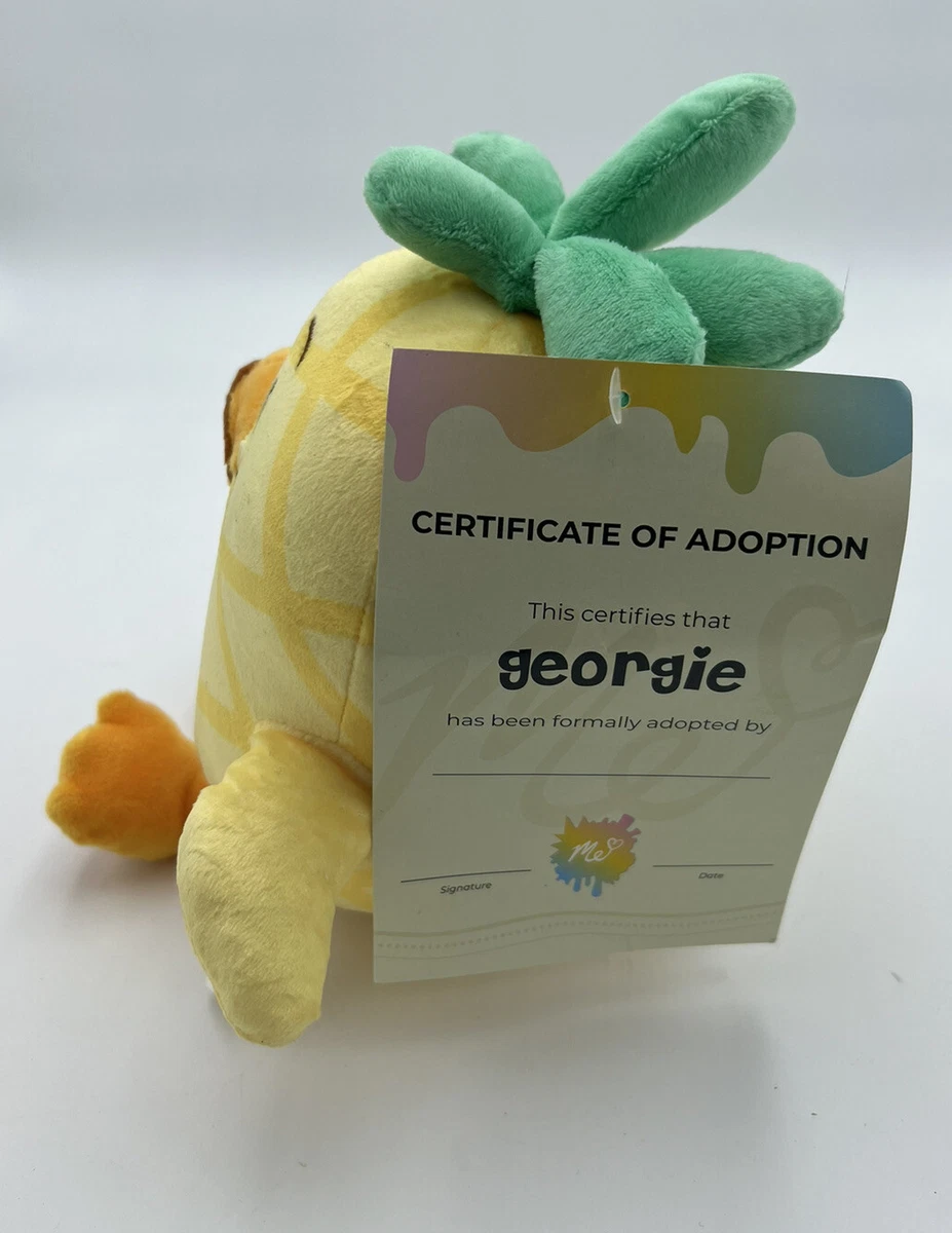 Georgie Plushpineapple Lovely Duck Moriah Elizabeth Merch Course