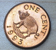 1993 Bermuda 1 Cent Wild Boar