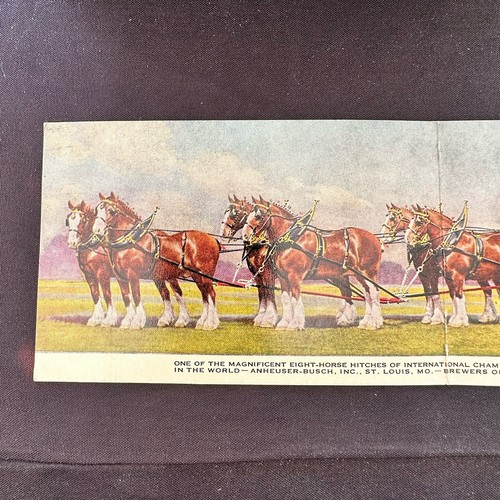 Tarjeta postal doble plegable panorámica Budweiser ocho caballos equipo Clydesdale de colección - Imagen 2 de 6