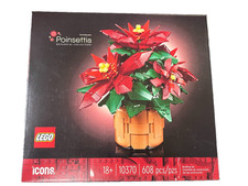 Poinsettia