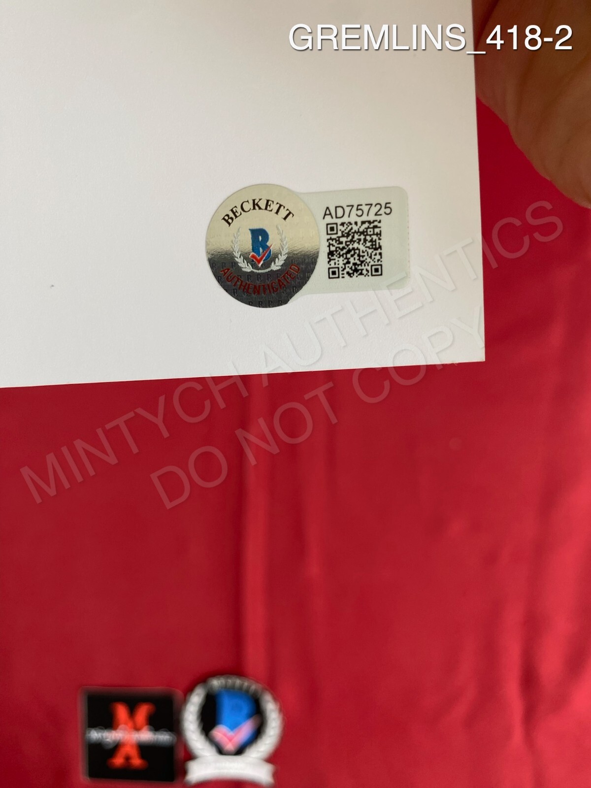 Foto 2 di 4