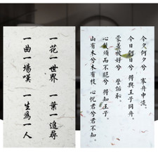 10 Sheets Chinese Traditional Calligraphy Xuan Paper Letterhead Writing Paper