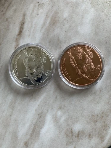 1 oz Zombucks World Pandamonium Silver and Copper Rounds