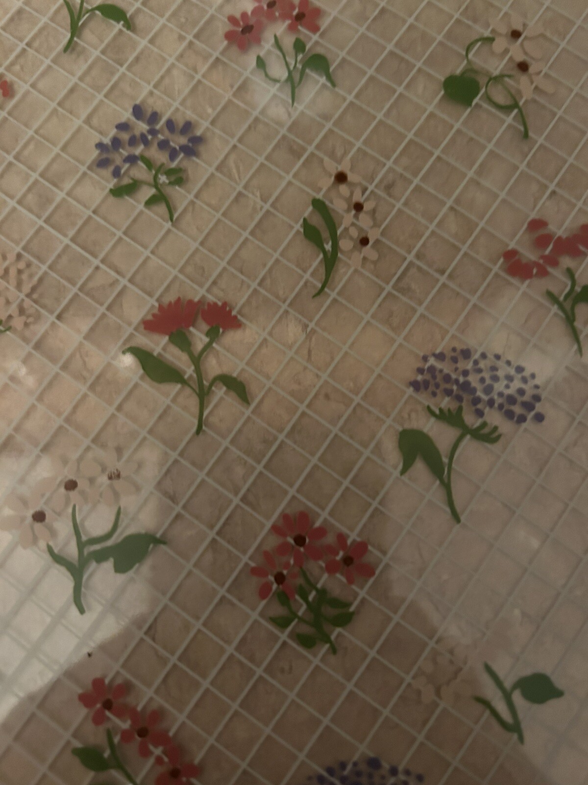 Picture 3 of 5