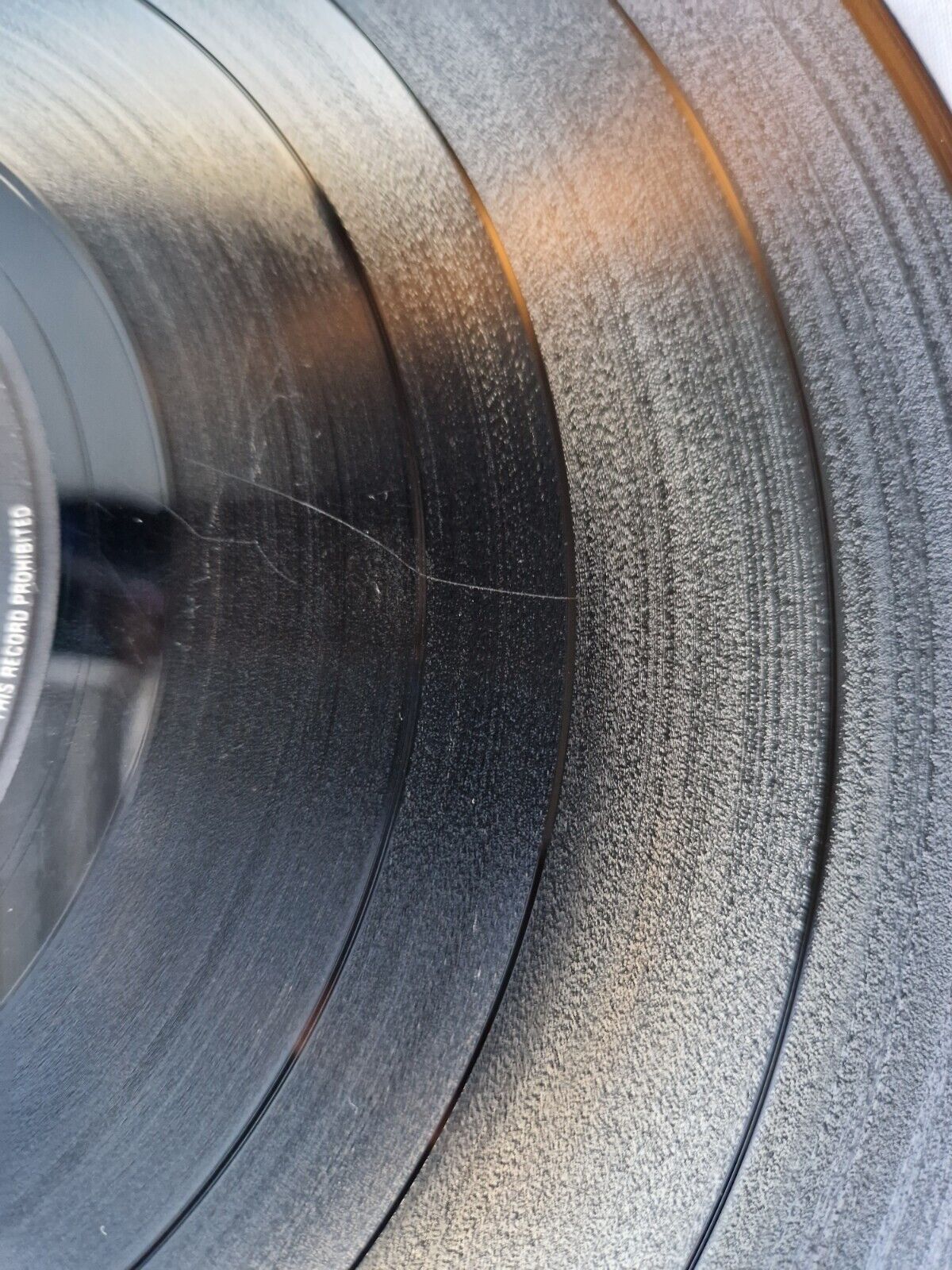 Picture 16 of 21