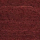 Red Sprayed Coconut 17mm Entrance Extra Large Coir Door Mat 1m 2m Wide CHEAP