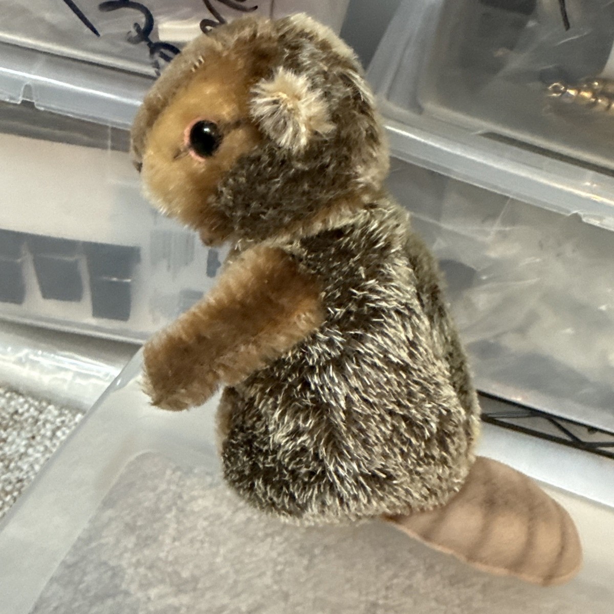 VTG Steiff Nagy Beaver 7