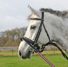 BUSSE Longierreithalfter HO