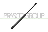 Prasco BM1209005 Gasfeder, Motorhaube FüR Bmw